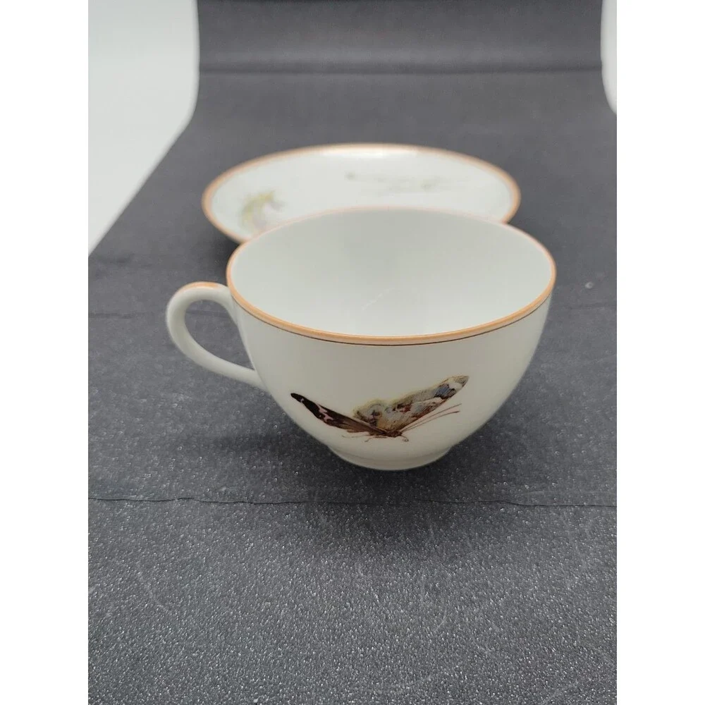 READ 2 ? Haviland Limoges ? Meadow Visitors Cup/Saucer Butterflies/Grasses
